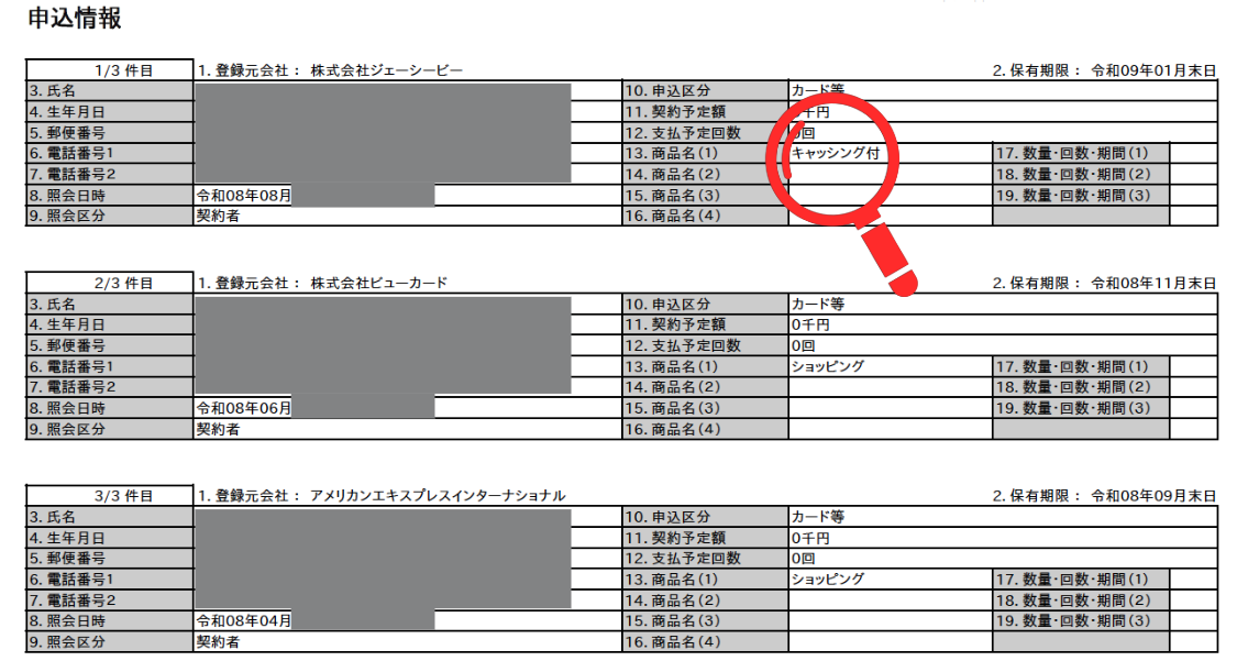 開示報告書の申込情報（実物・個人情報と日時はマスク、照会は月単位表示）