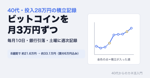ビットコインを月3万円ずつ。毎月10日・銀行引落・土曜に週次記録。投入28万円。8週間で約21.6万円から約33.1万円（買付6万円込み）